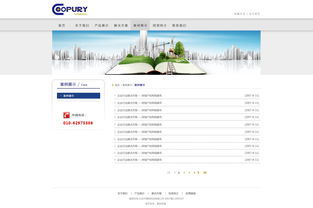 北京網(wǎng)站建設(shè) 原創(chuàng)先鋒，案例引領(lǐng)未來